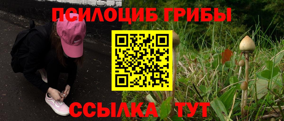 Горно-Алтайск  дарнет шоп  Вход с VPN  Псилоцибиновые грибы прущие грибы 
